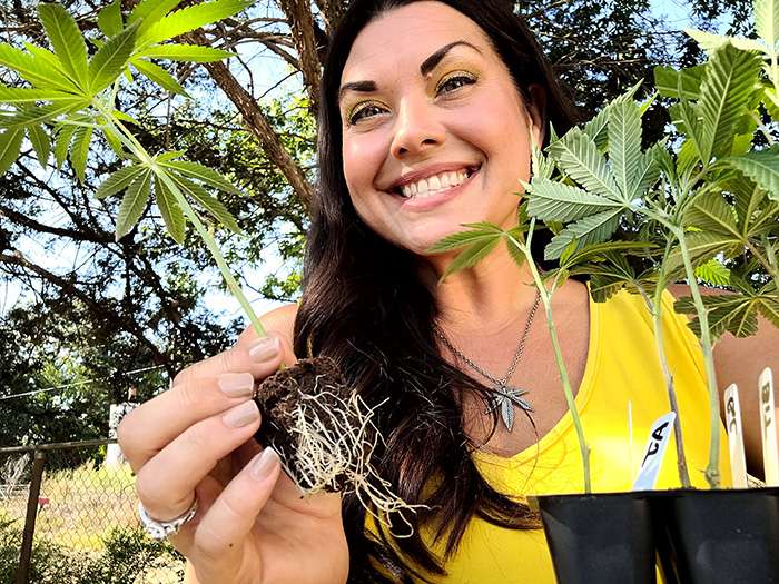 missouri marijuana clones customer